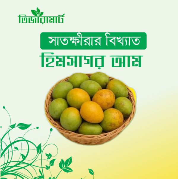 সাতক্ষীরার হিমসাগর—প্রকৃতির সেরা মিষ্টি উপহার!